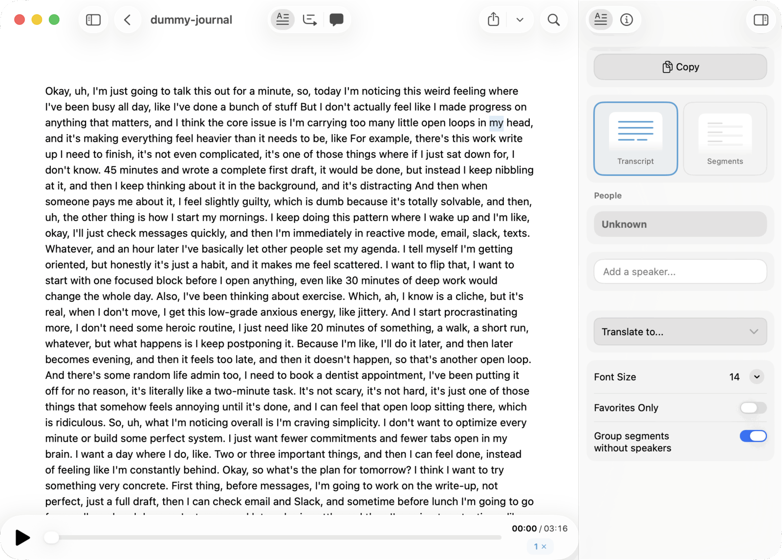 Transcript view in MacWhisper